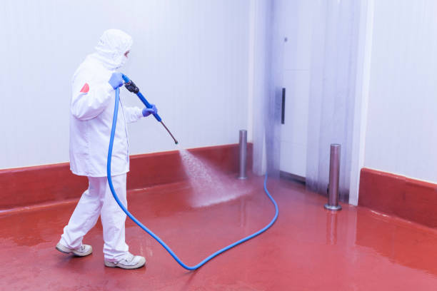 Best Window and Screen Pressure Cleaning in Vails Gate, NY